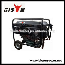 BISON (CHINA) Petit ménage 2kw Dynamo Generator à vendre